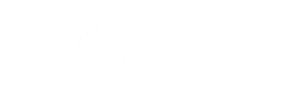 Summit Optics